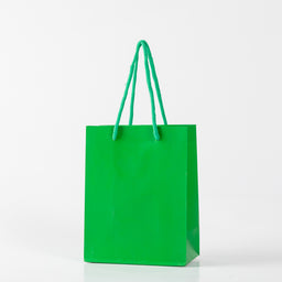 12x Papieren koordtas - 31cm x 42cm x 12cm - Groen