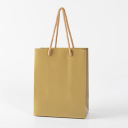 12x Papieren koordtas - 18cm x 23cm x 10cm - Goud