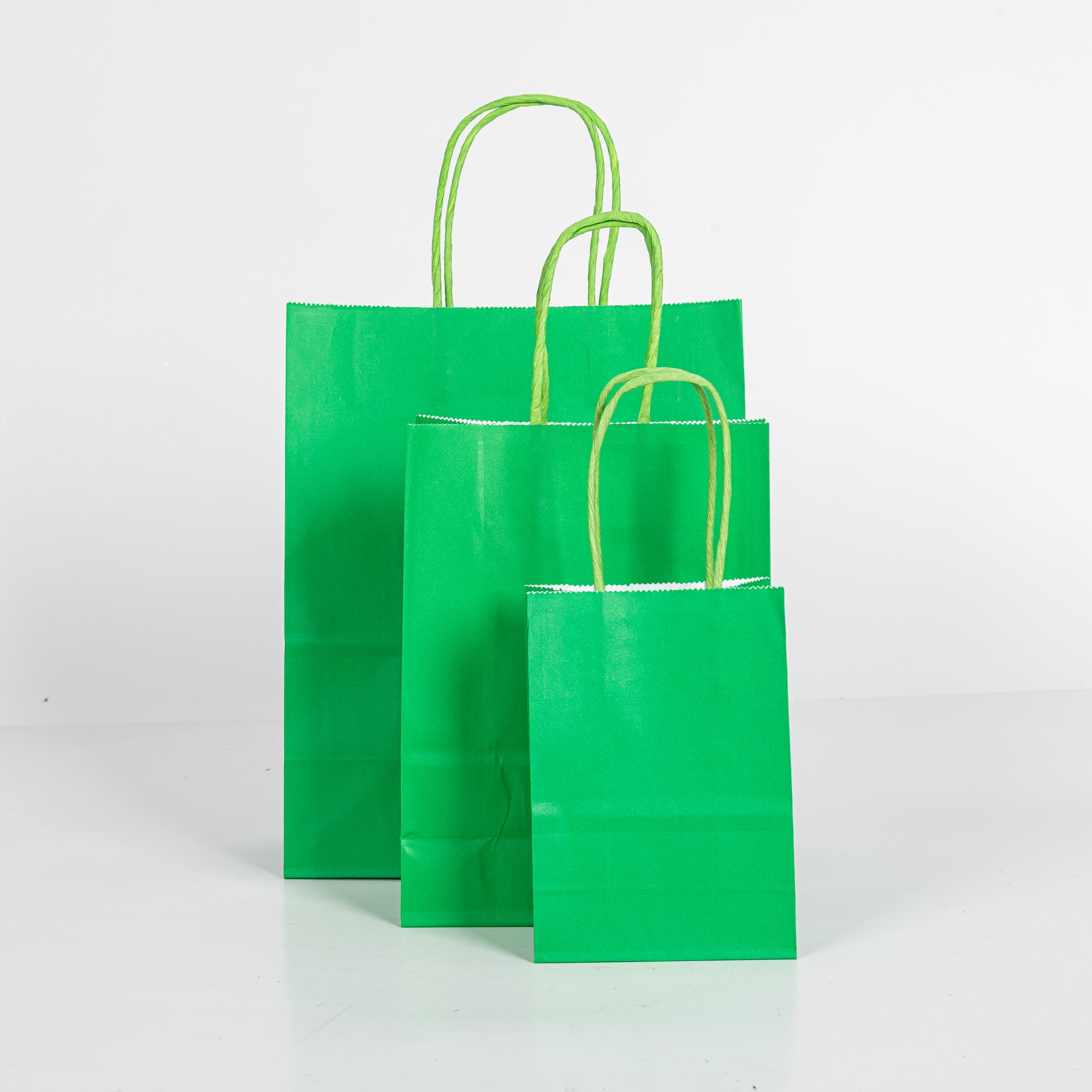 12x Papieren tas gedraaid handvat - 16cm x 22cm x 8cm - Green
