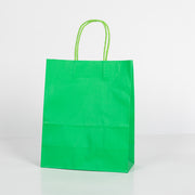12x Papieren tas gedraaid handvat - 22cm x 27cm x 11cm Groen
