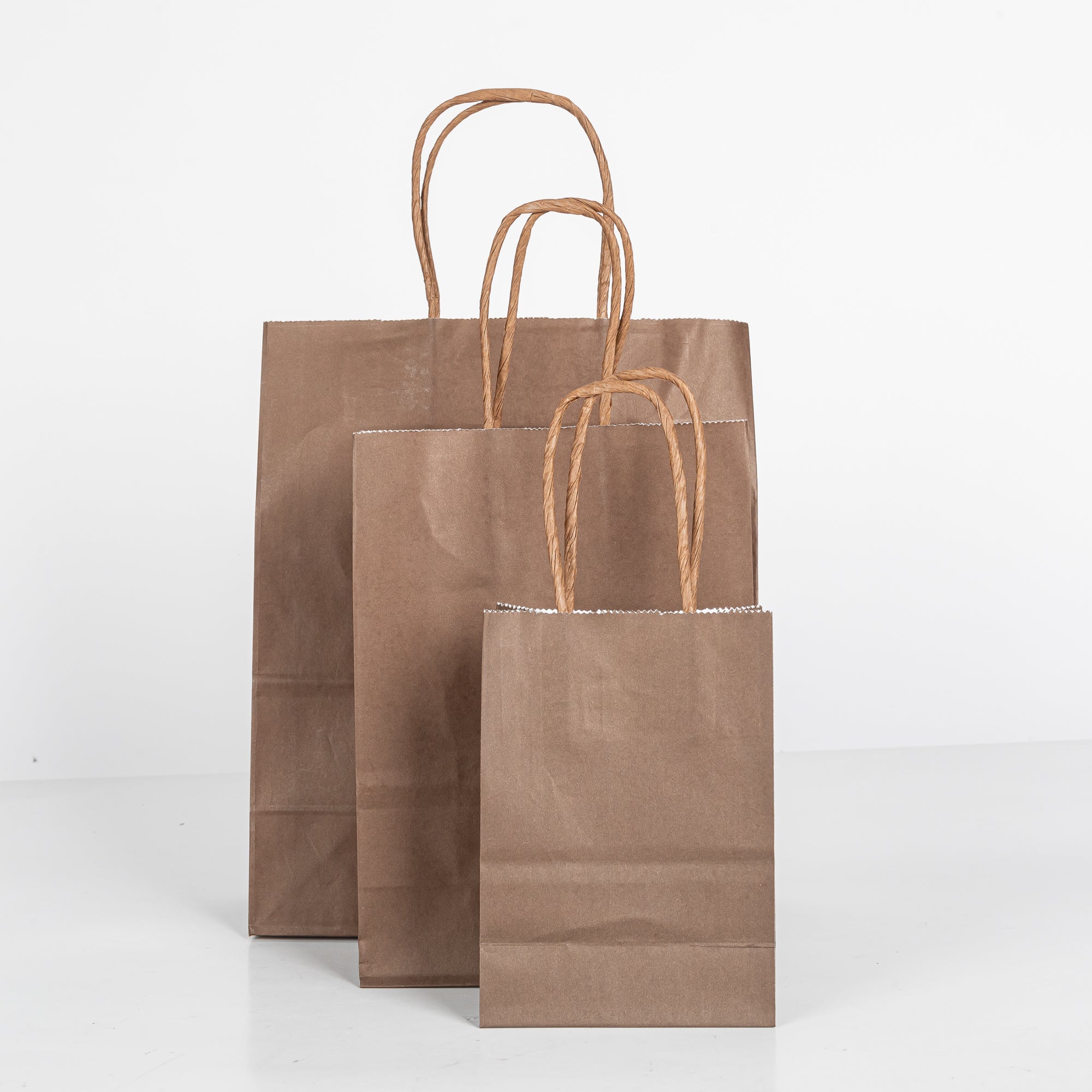 12x Papieren tas gedraaid handvat - 16cm x 22cm x 8cm - Dark Brown