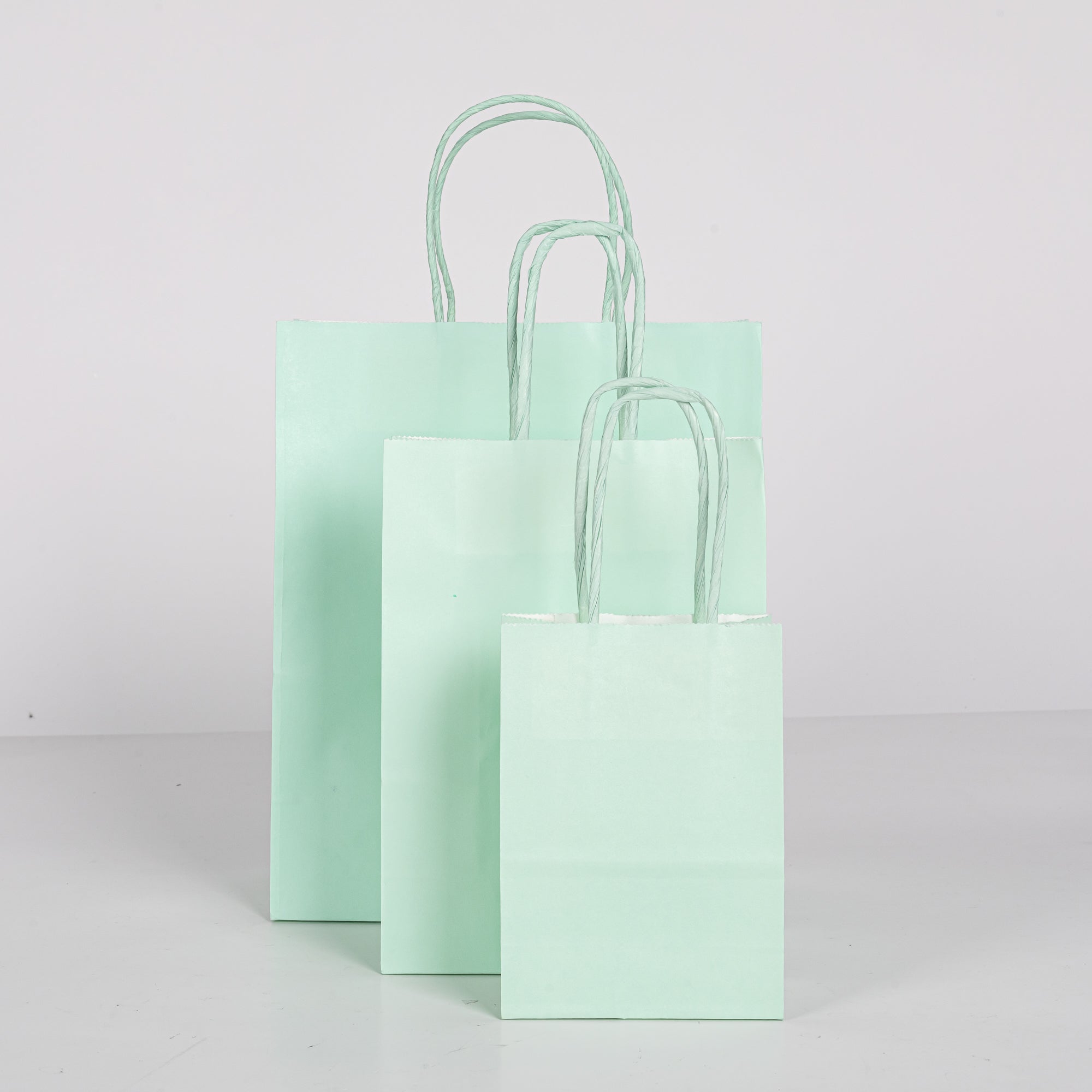 12x Papieren tas gedraaid handvat - 16cm x 22cm x 8cm - Licht Groen