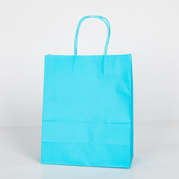 12X Papieren tas gedraaid handvat - 22cm x 27cm x 11cm Ciyan