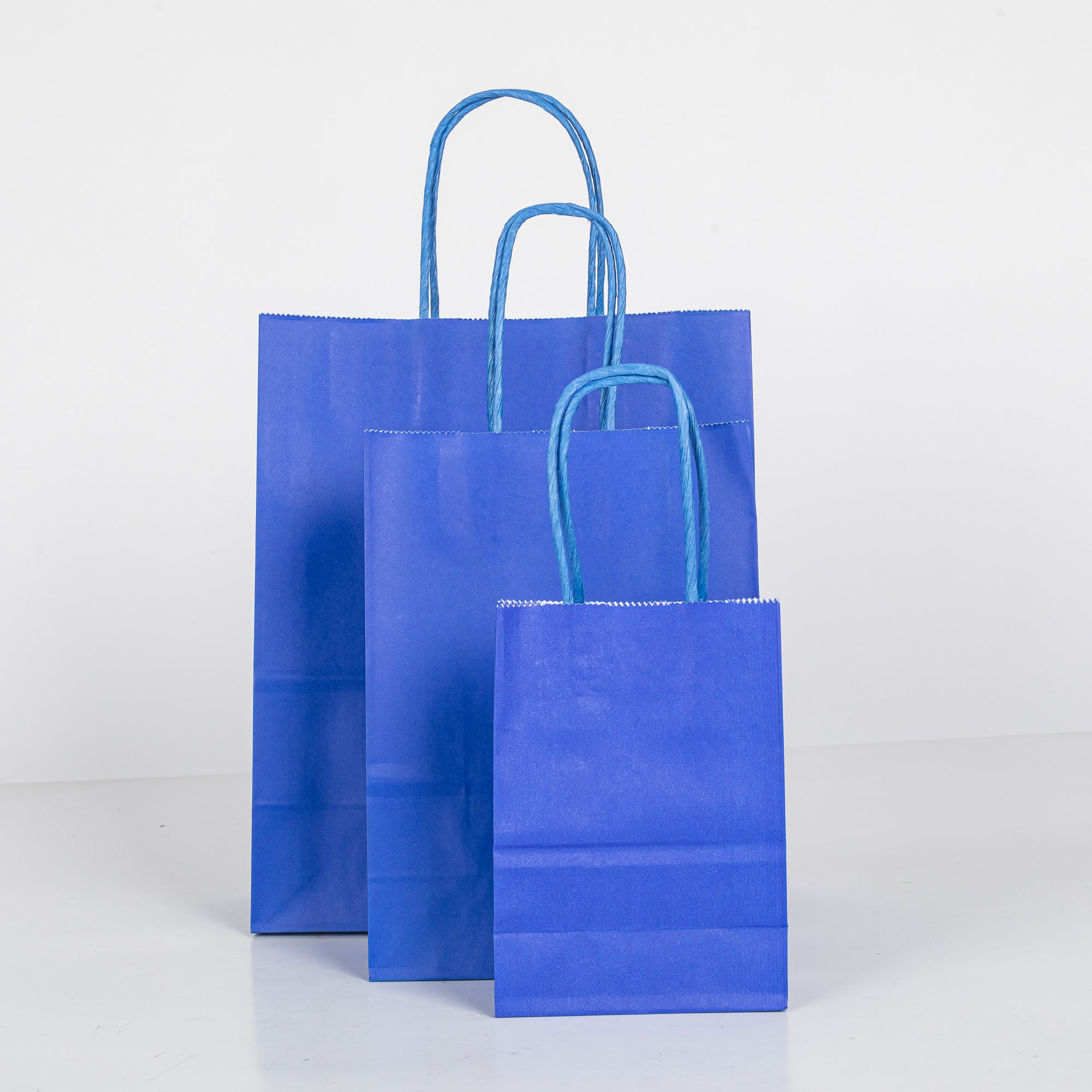 12x Papieren tas gedraaid handvat - 22cm x 27cm x 11cm Royal Blue