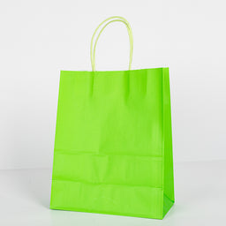 12X Papieren tas gedraaid handvat - 22cm x 27cm x 11cm Fel Groen