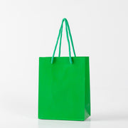 12x Papieren koordtas - 31cm x 42cm x 12cm - Groen