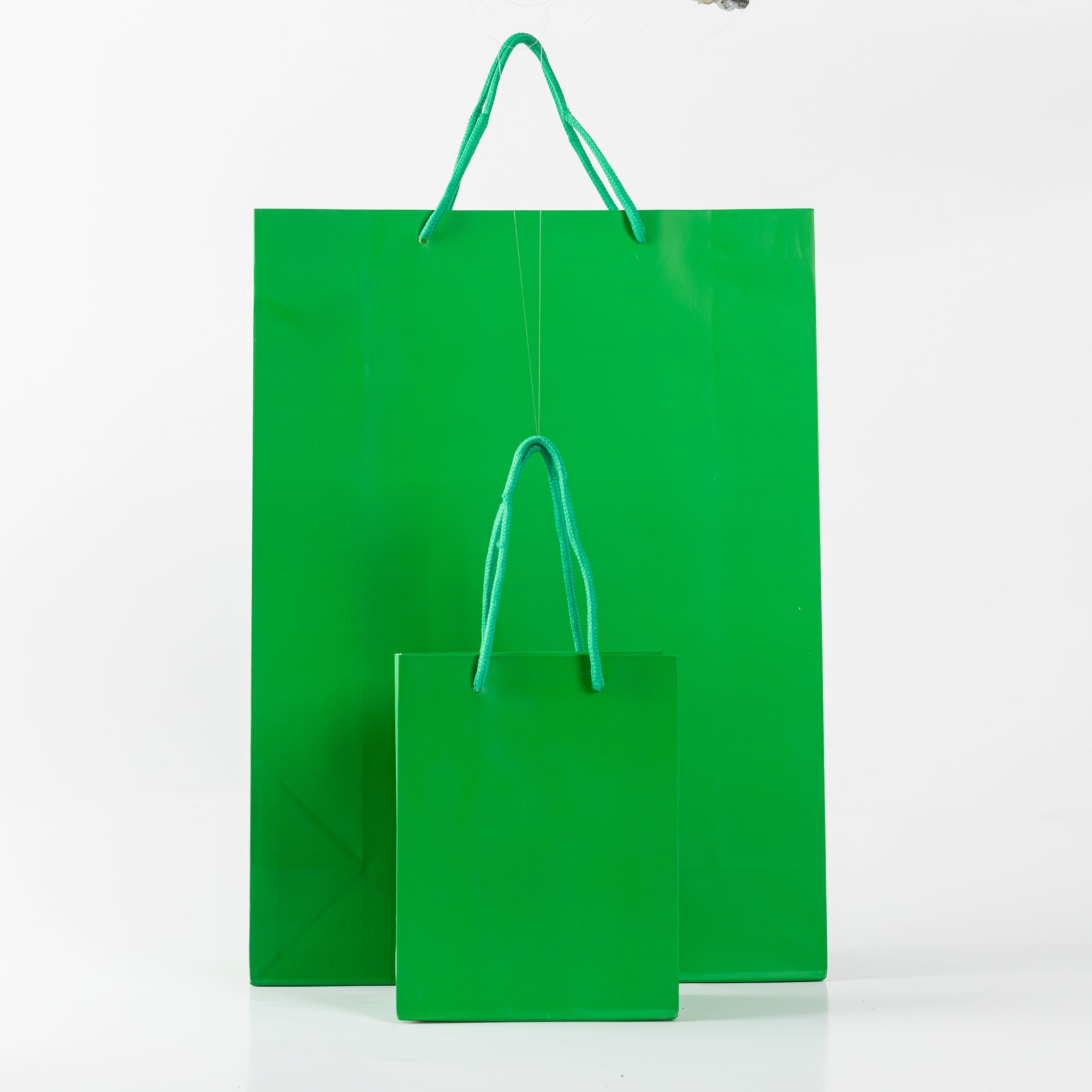 12x Papieren koordtas - 31cm x 42cm x 12cm - Groen