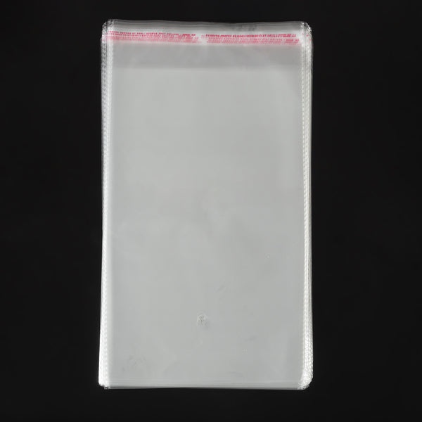1000x Cellofaan zakje 16,3 cm x 27 cm
