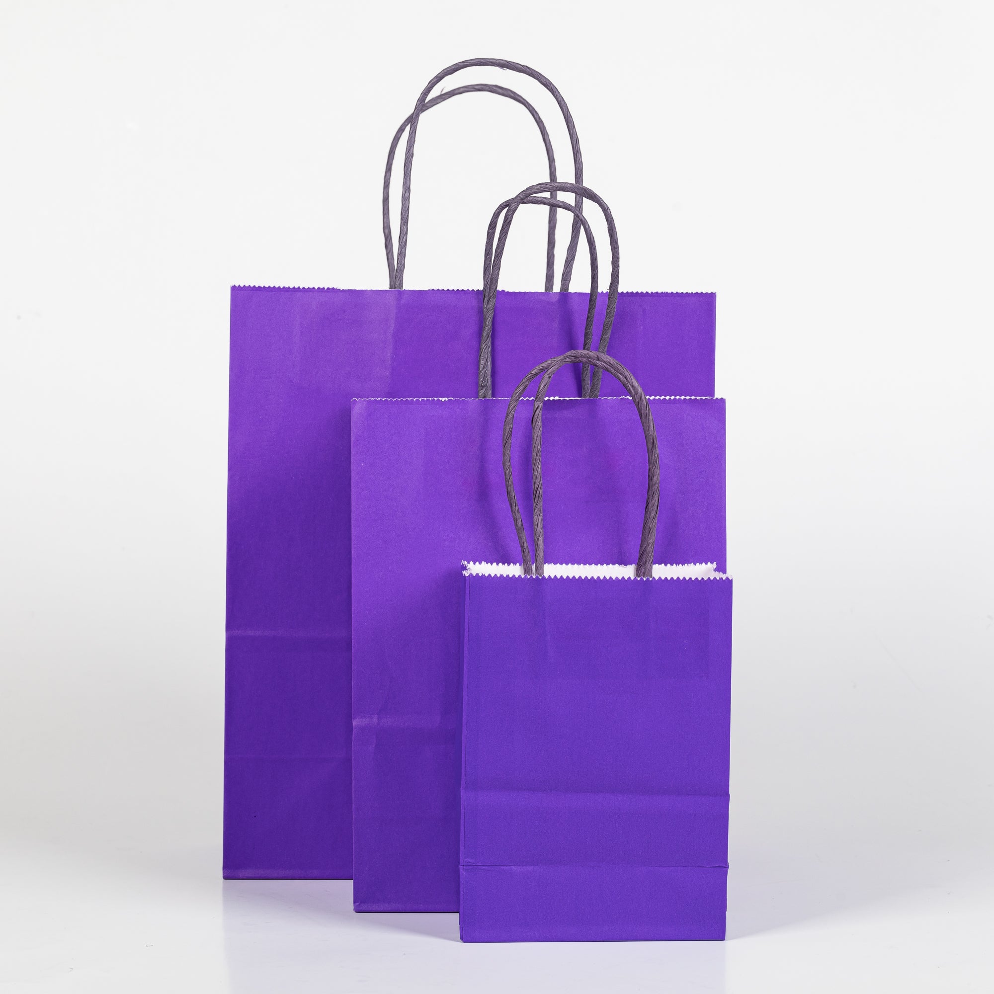 12x Papieren tas gedraaid handvat - 16cm x 22cm x 8cm Paars
