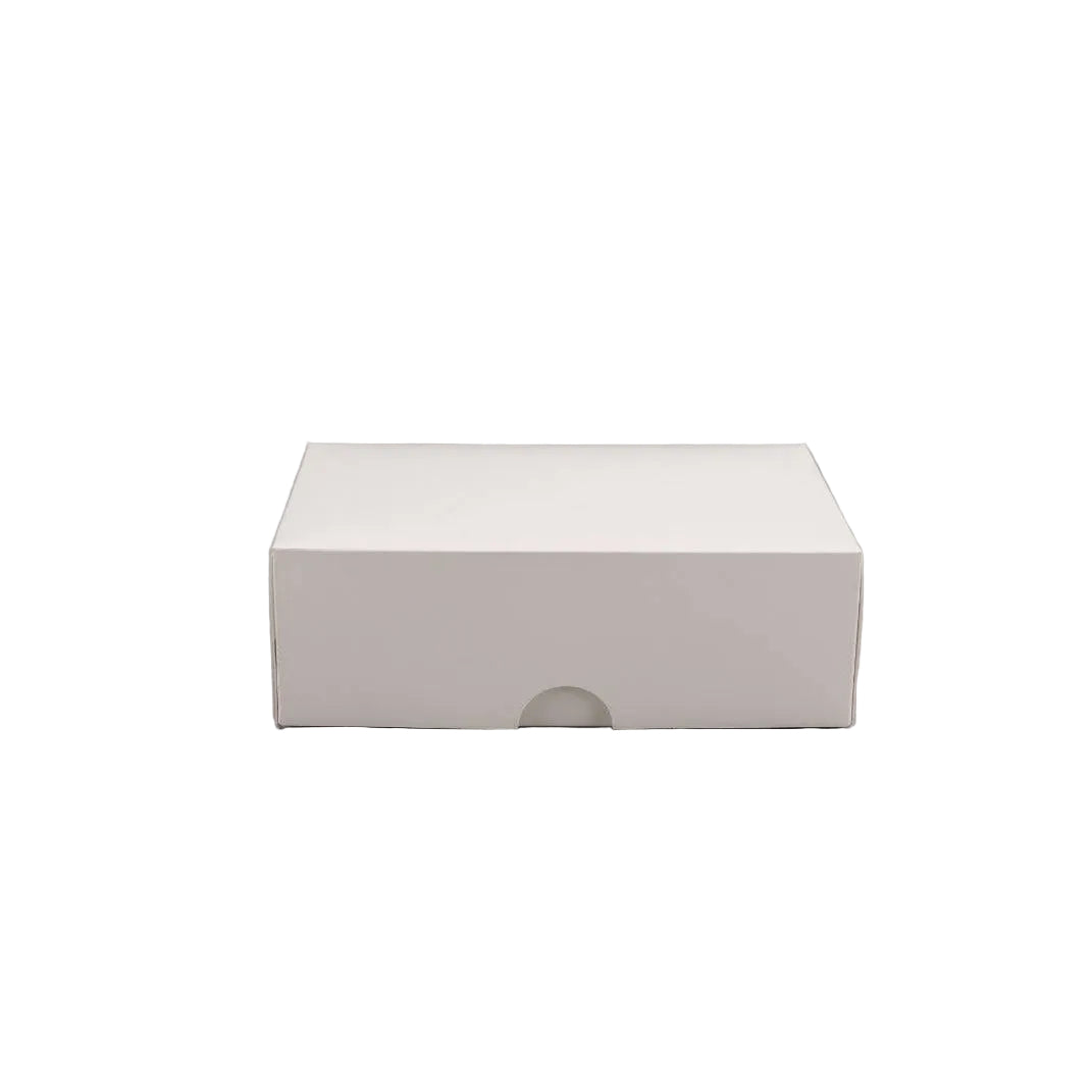 100x Gebaksdoos 24x16x8 cm
