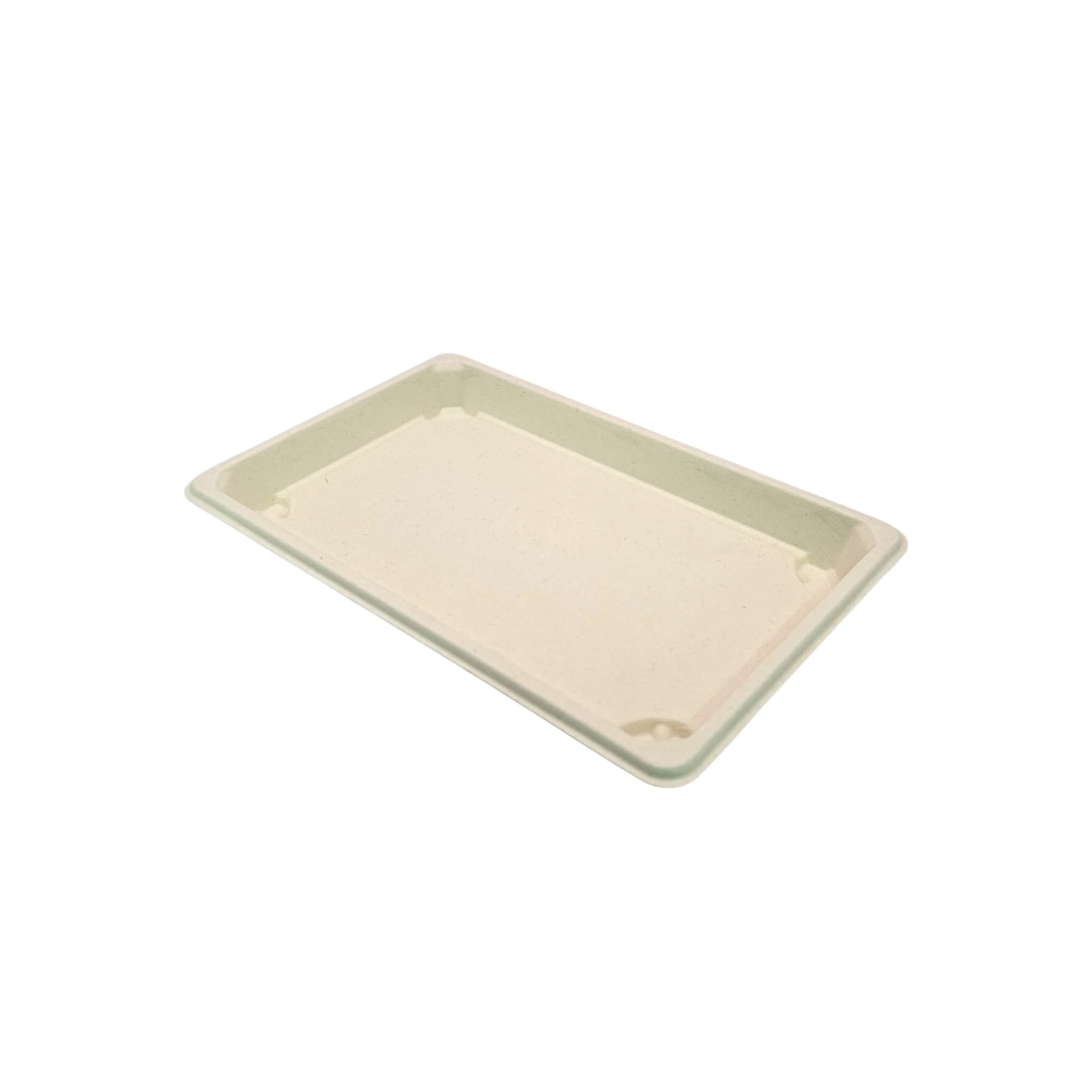 500x Snackschaaltje V3 suikerriet BIO