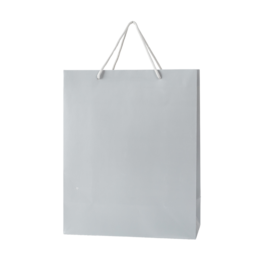 Set of 12 silver paper cord bags 26x32x12 cm eco-friendly reusable gift bags
