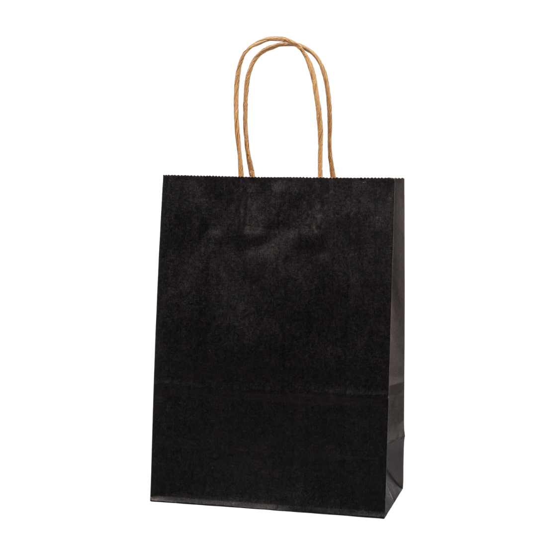 Zwarte papieren tas met gedraaid handvat, 16x22x8 cm, set van 12