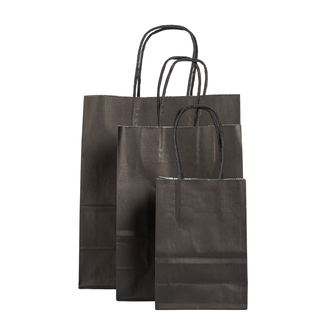 12x Paper bag with black twisted handle - 16cm x 22cm x 8cm - Black