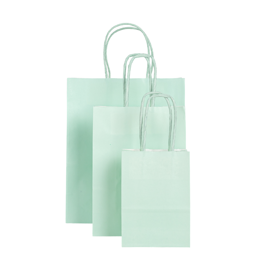 12x Papieren tas gedraaid handvat - 11cm x 15cm x 6cm - Licht Groen