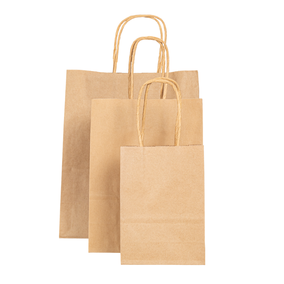 12x Papieren tas gedraaid handvat - 16cm x 22cm x 8cm Kraft